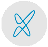 Icon 1